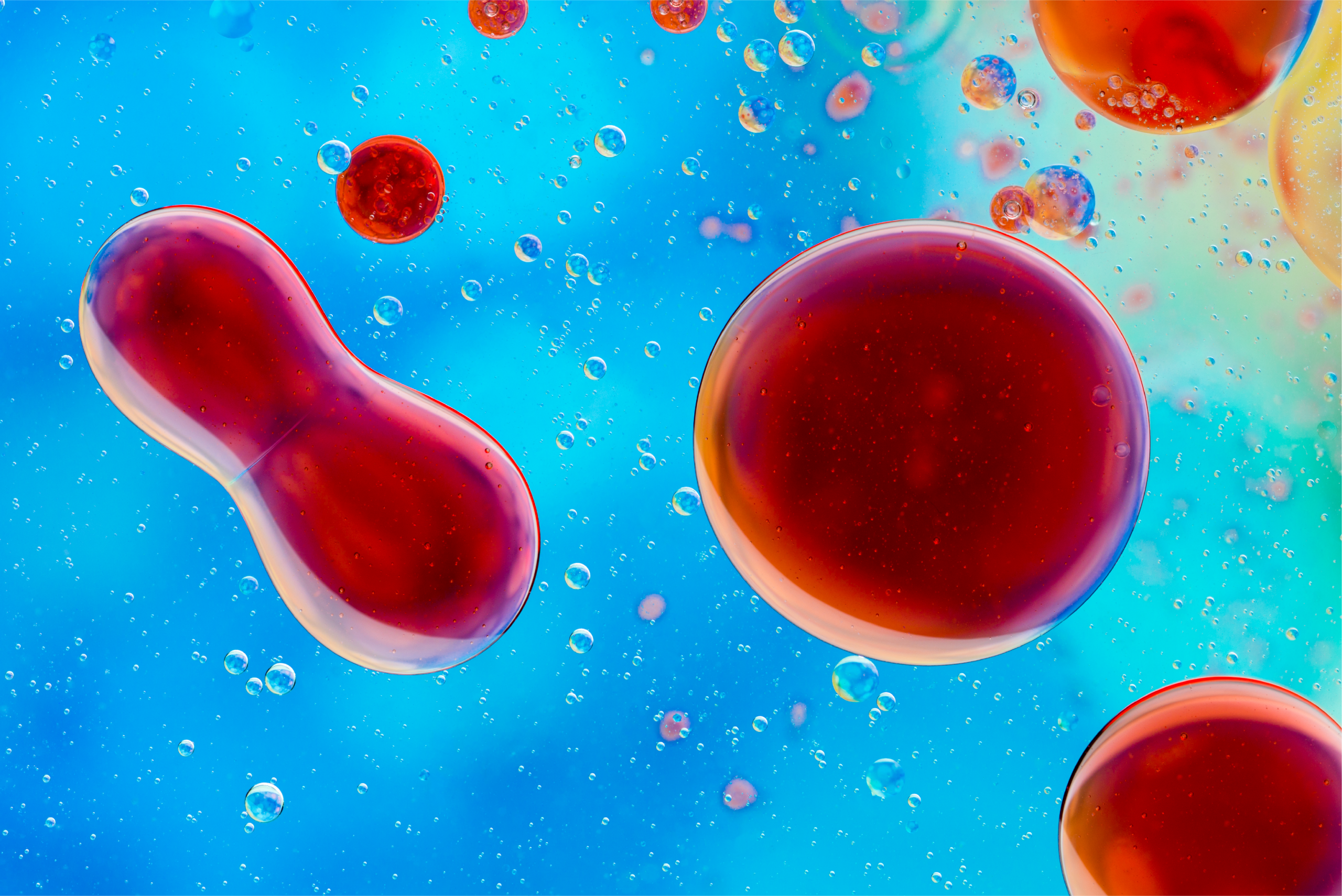 Does Mounjaro Lower Cholesterol? What the Evidence Says