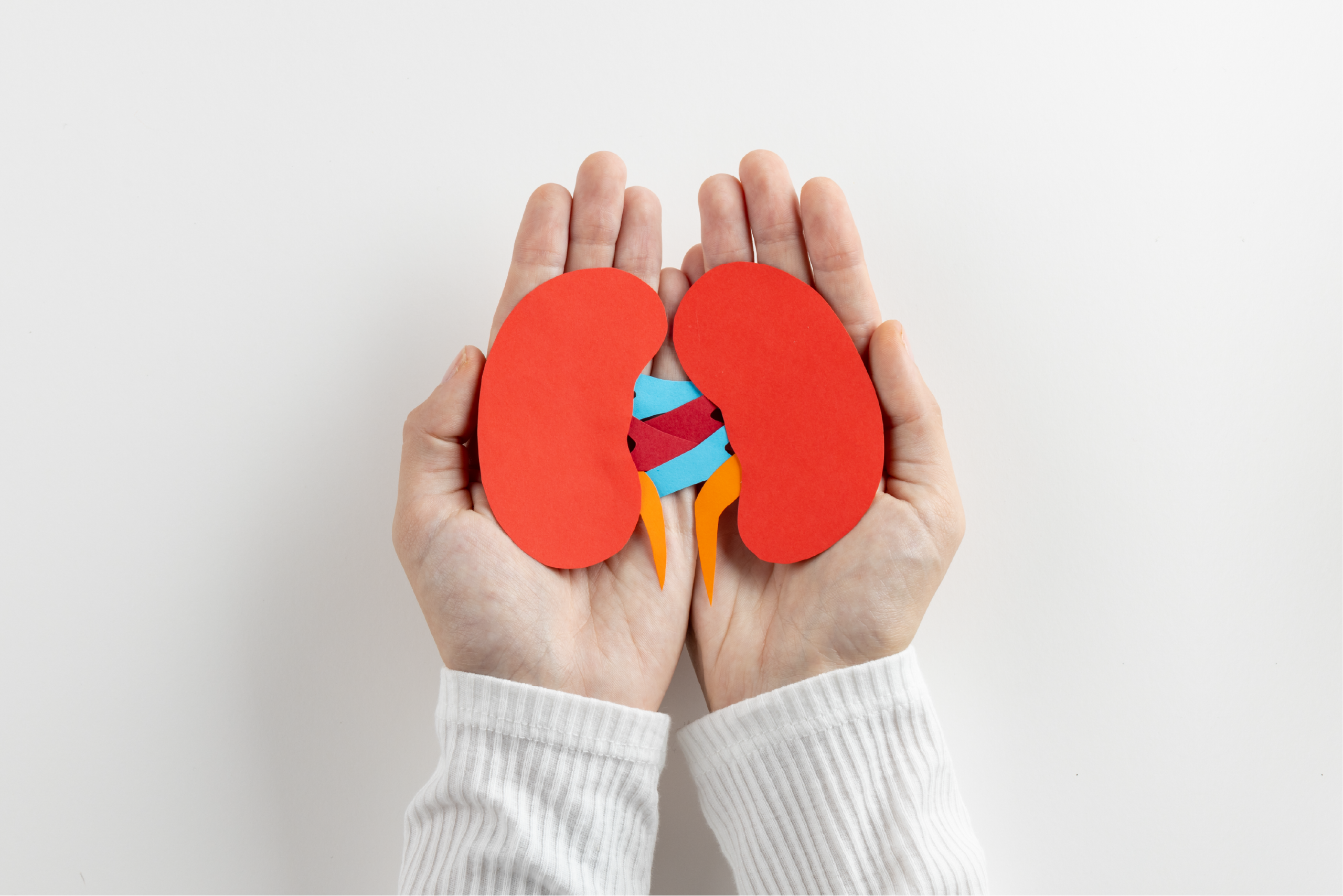Does Mounjaro Affect Your Bladder or Cause UTIs? Symptoms Explained